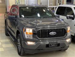 فۆرد F-150